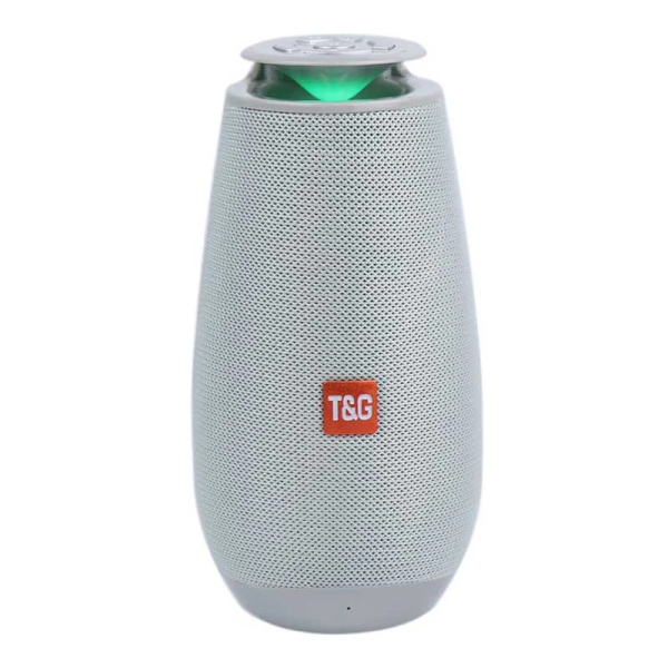 اسپیکر تی اند جی T&G TG508